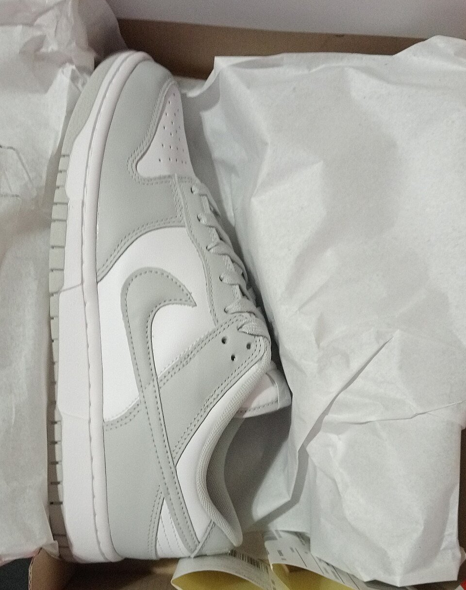 Nike Dunk Low en caja: silueta y collar más altos que una Samba. (CC BY-SA 4.0)